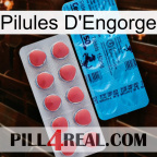 Engorge Pills new14